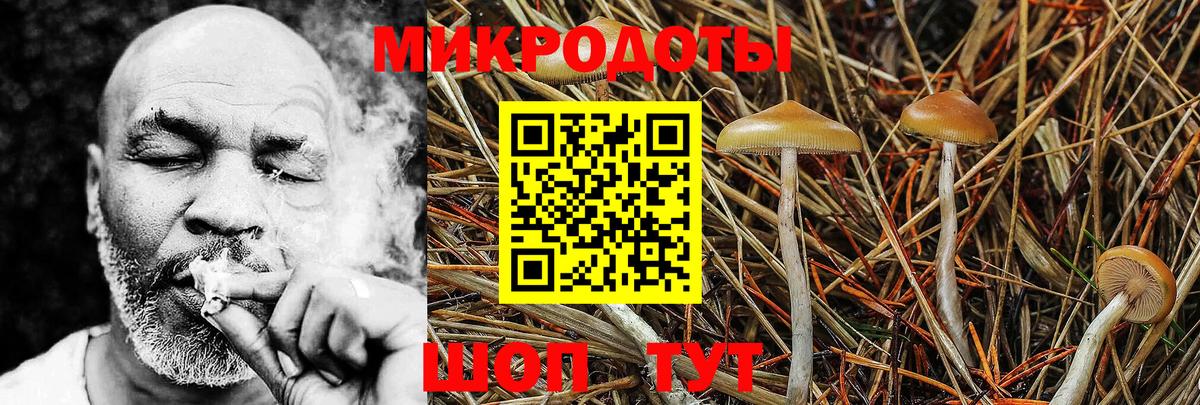 Псилоцибиновые грибы GOLDEN TEACHER Тара