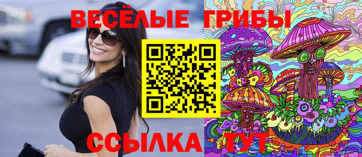 Тара  Галлюциногенные грибы GOLDEN TEACHER  Галлюциногенные грибы Psilocybine cubensis  Вход с VPN 